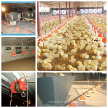 Full Set Poultry Equipment with Prefab Poultry Shed for One Stop Service